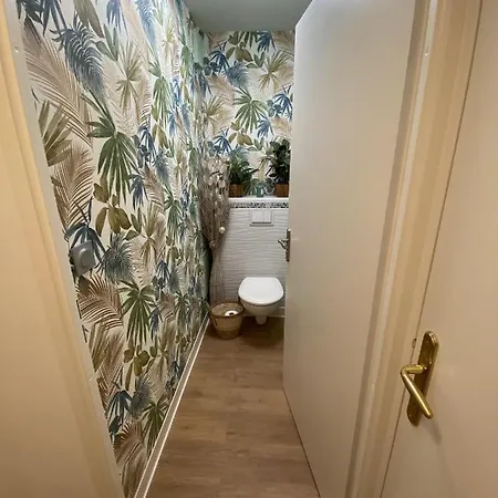 Le Jungle : T2 Avec Jardin Et Jacuzzi Apartmán Blagnac