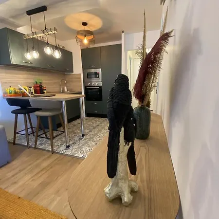 Apartment Le Jungle : T2 Avec Jardin Et Jacuzzi