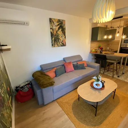 Apartment Le Jungle : T2 Avec Jardin Et Jacuzzi *